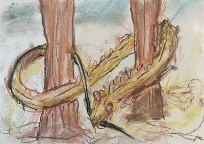 Daniella Rudinovitz sketch