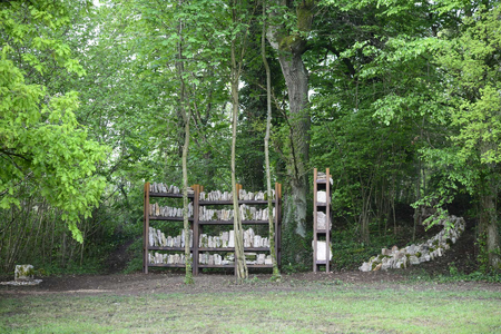 Karl Chilcott, Bibliotheca Lapidea, 2014. Malans, France. Size: 6500 x 2500 x 2700 mm. Photo: Christine Chilcott