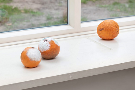 Álvaro Urbano, Noches en los Jardines de España, 2020. Ausstellungssansicht Tea and Dry Biscuits. Eine Jubiläumsausstellung. Georg Kolbe Museum, 2025, Foto: Enric Duch