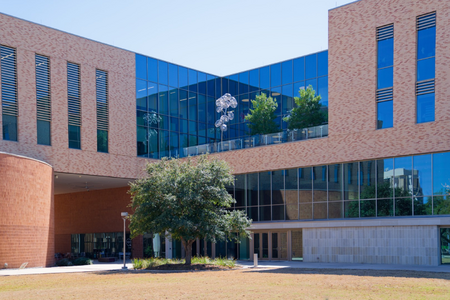 Bubble Trees in the Clouds sculpture by Mirek Struzik panoramic day view