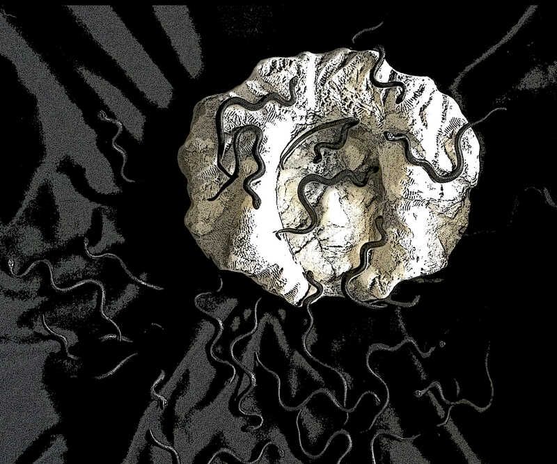 Medusa und ihre Schlangen_WD heller