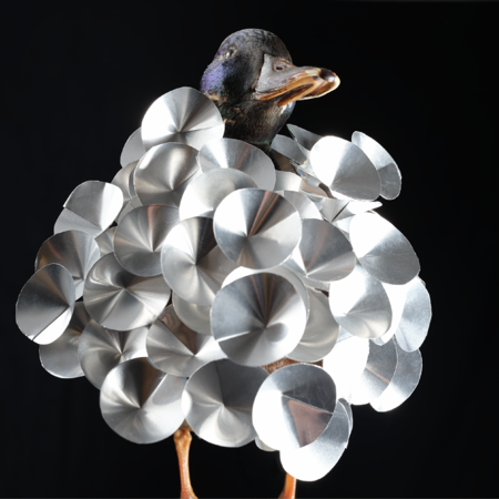 Sina Heffner, Bemäntelt, 2024