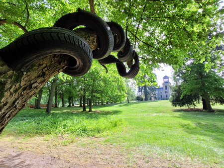 Michael Zwingmann, Nigrum Baltrum, 2022