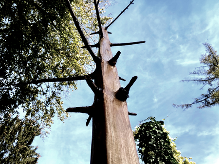 Anna Mrzyglod, Square Tree, aquamediale Kunstfestival im Spreewald 2024
