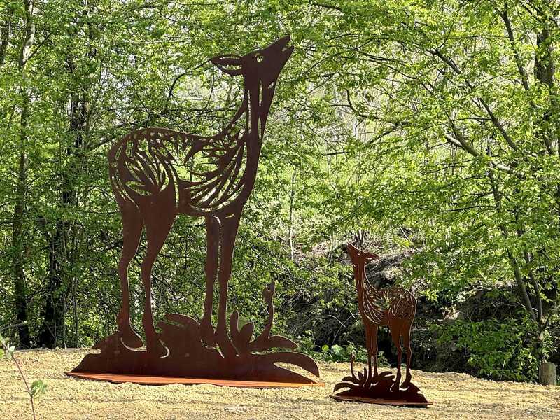 Planteneters in Jodoigne.Mieke de Waal klein kopie