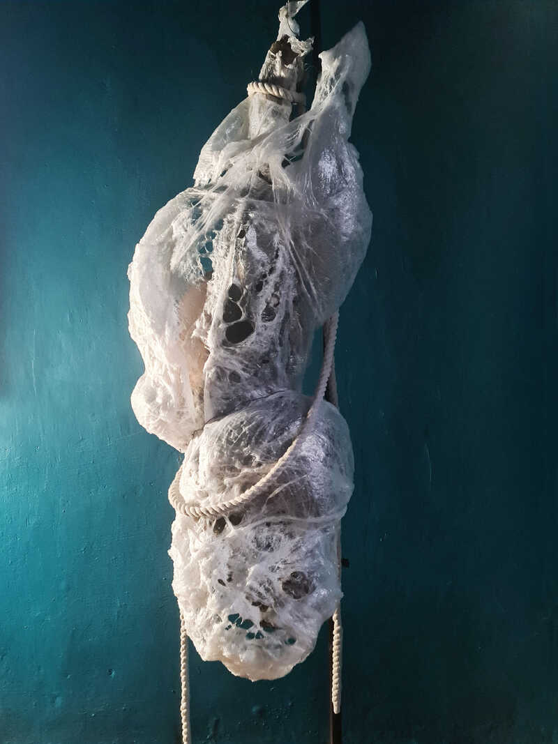 Cocooning II_1