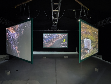 Eline Kersten, While the Fire Burns, 2024, Three-channel video installation, HD, 10:24 Min, Stereo