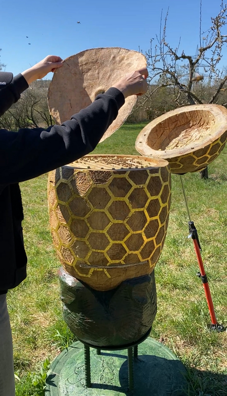 Bienen, Natur, Kultur, …