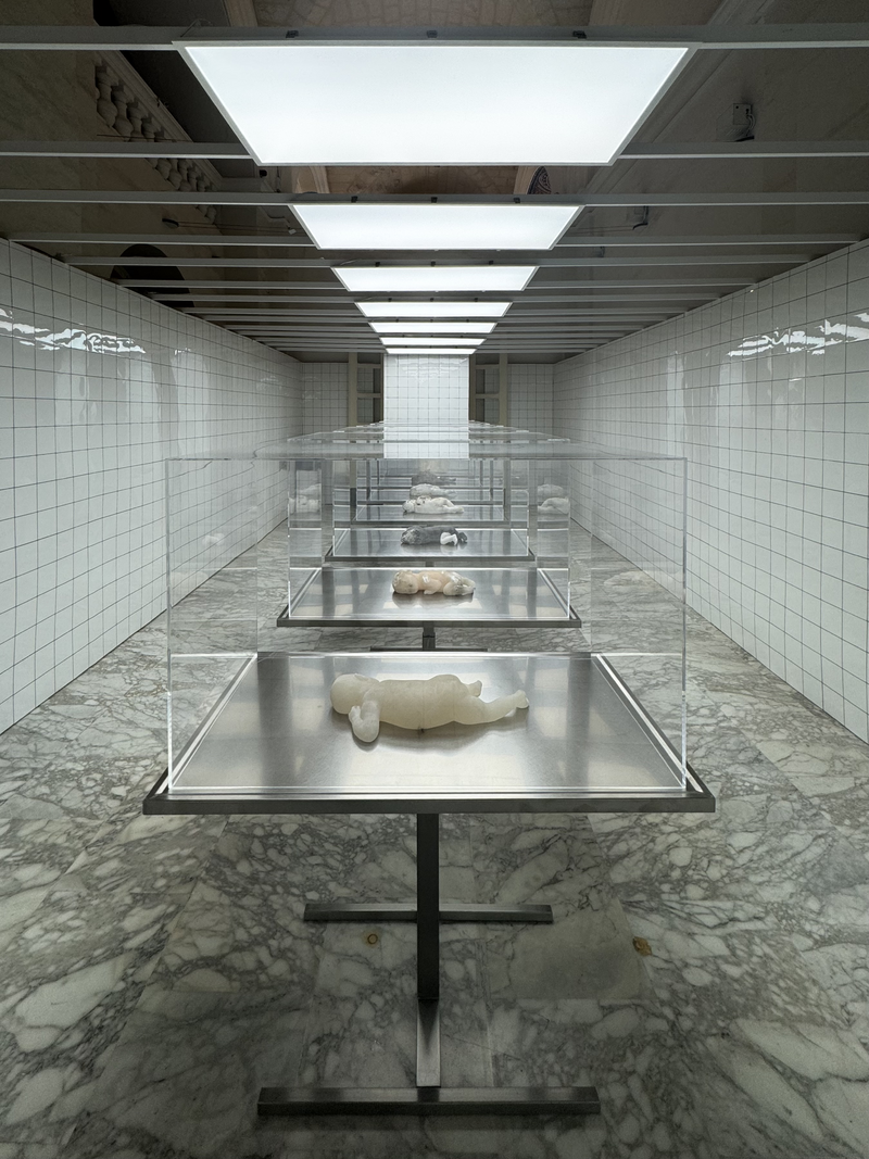 Sofie Muller, The Cleaning Room 2017