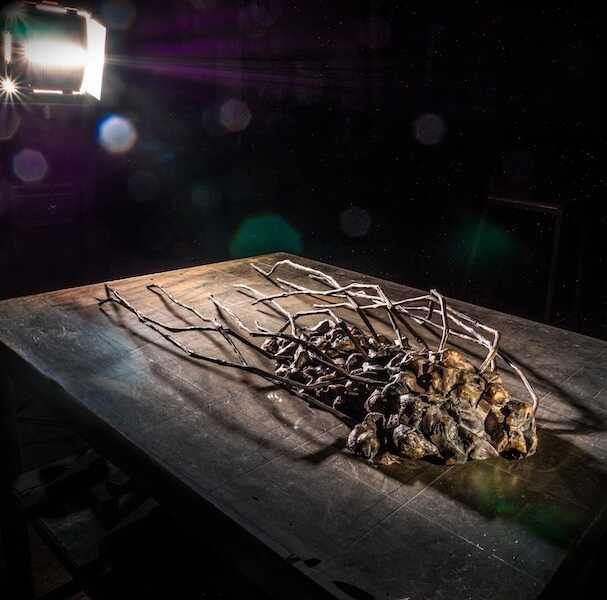 glia #2, Hans Some, 2017, copper, 110x65x15cm, spot