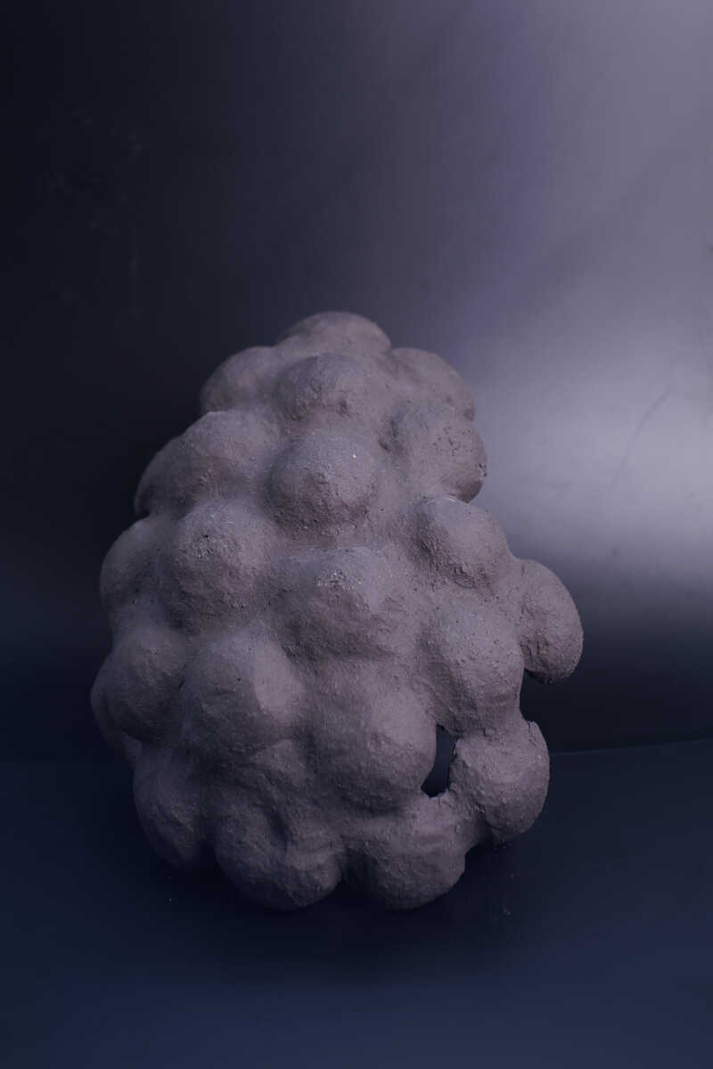 Cellular Structures – RaspberryEgg