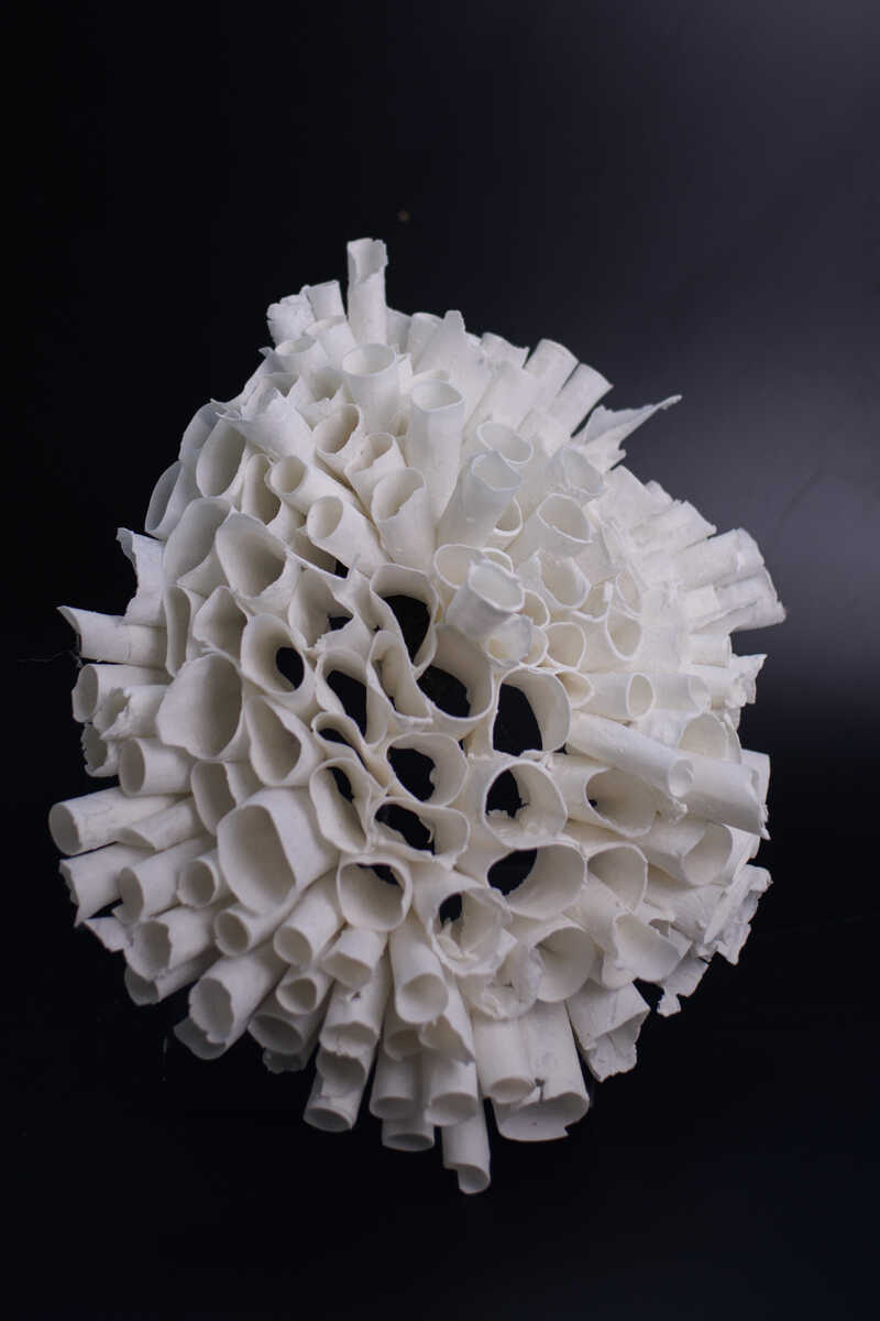 Fragile Structures —Coralegg