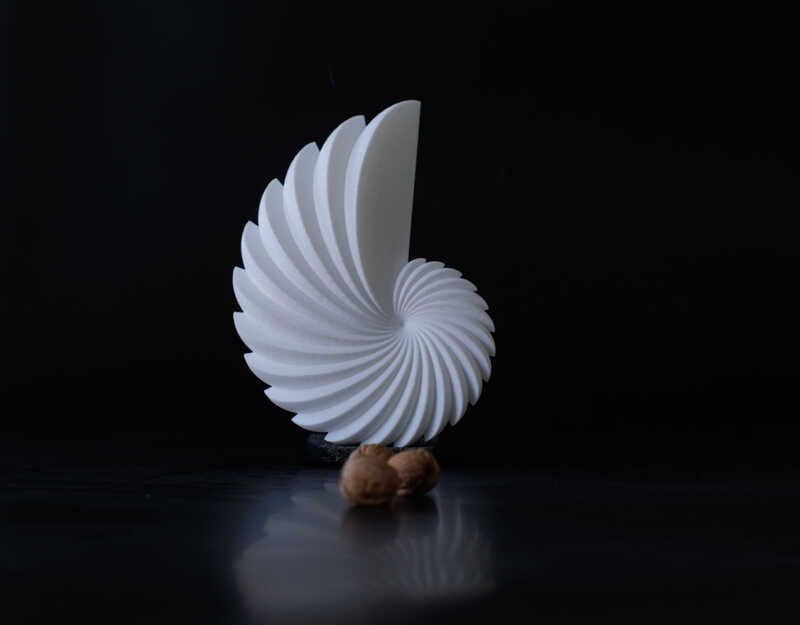 Generative Forms – NautilusEgg