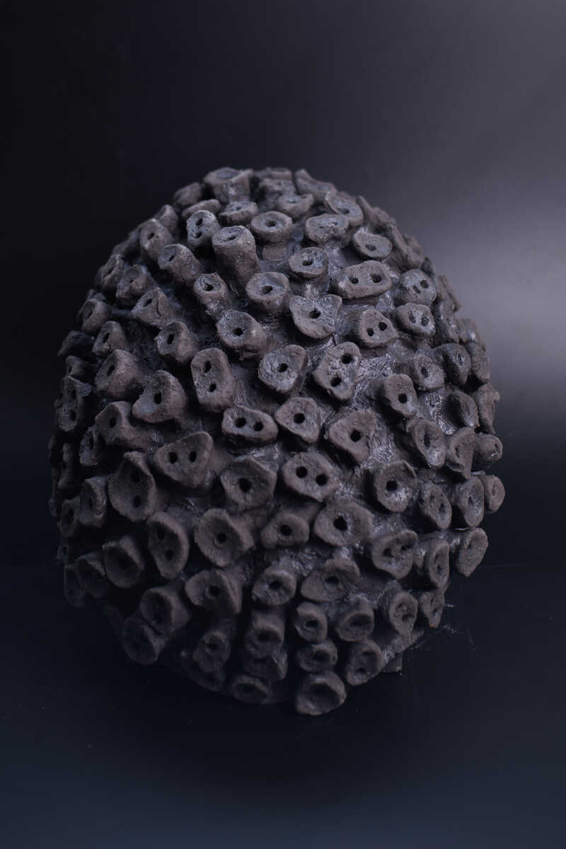 Growth Systems – NodeEgg