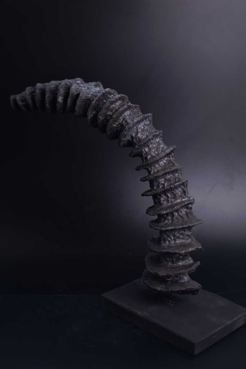 Open Structures- ArcEgg