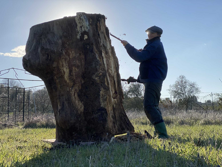 APISCULPTOR Birgit Maria Jönsson, The making of Etruscan Vittoria, wood