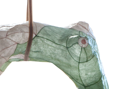Detail body Plantwoman