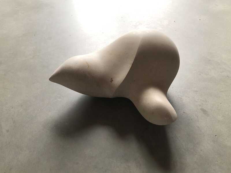 eine_Art_von_Schildkroete