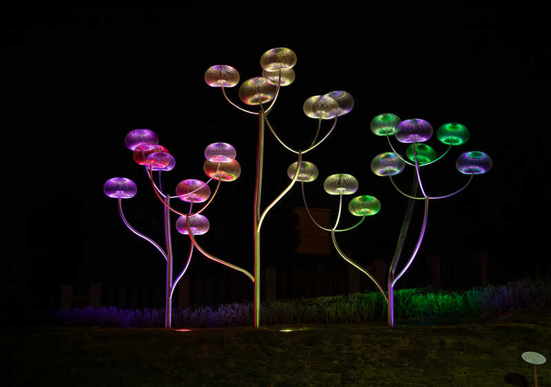 Bubble Flowers