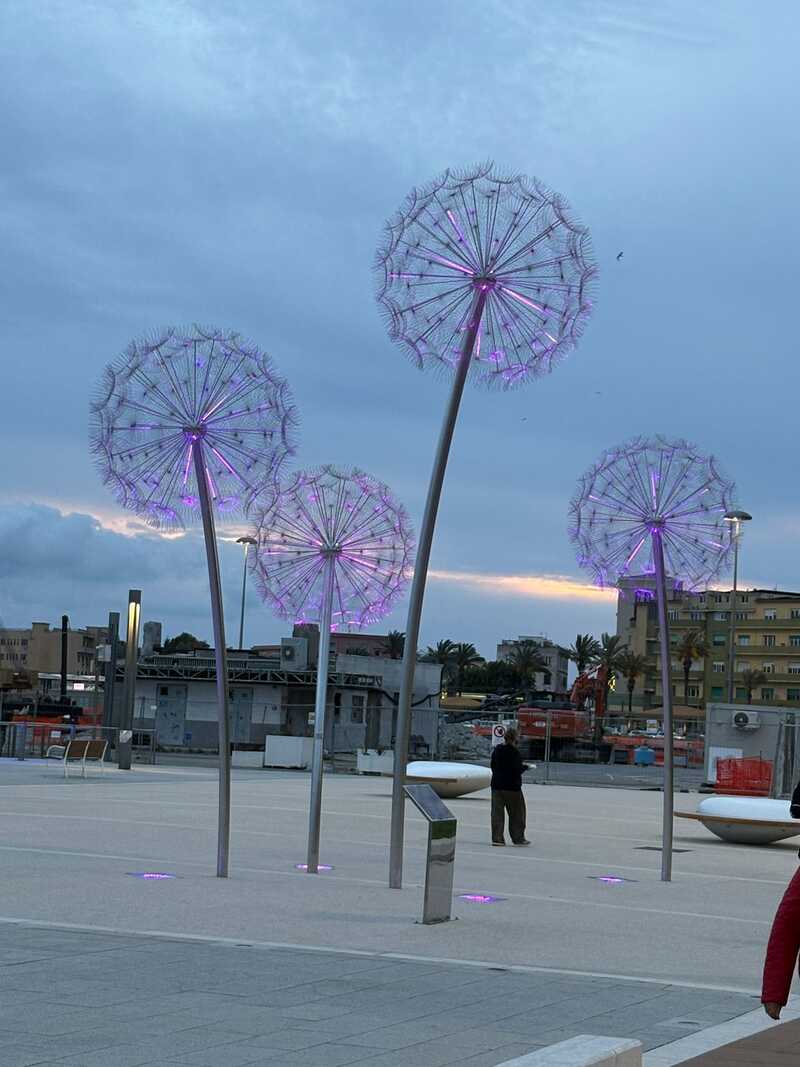 Dandelions