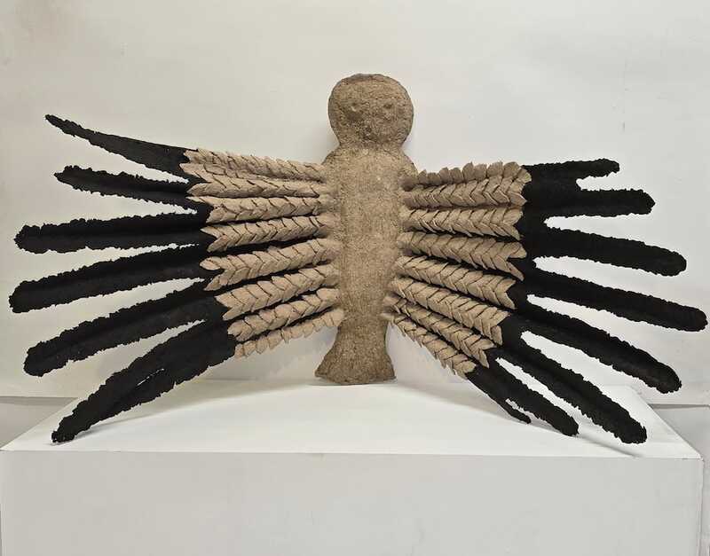 Scorched wings. 2025 copy