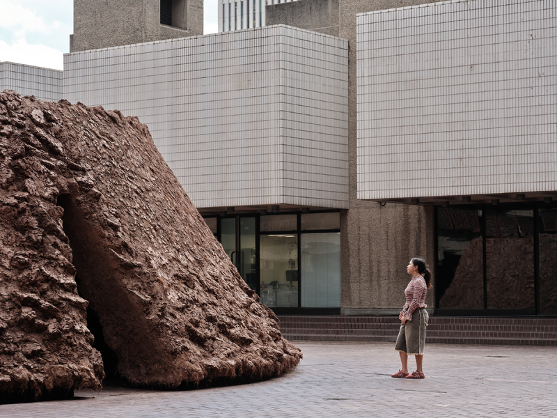 14. Delcy Morelos origo Installation Image