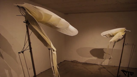 This installation made by Bart Nijboer consists of to insect-like objects, which move their legs in an unpredictable rhythm up and down. It reminds of a form of…