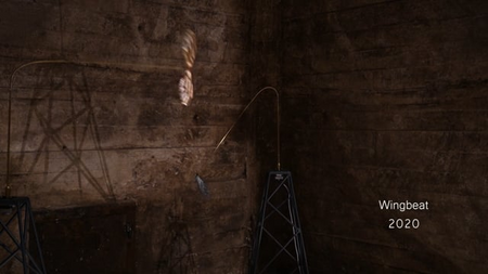 Wing Beat is a mechanical version of the swerling insects that has disepeared from the feelds. During my life (in the last 30 years) more then 75% of insects has…