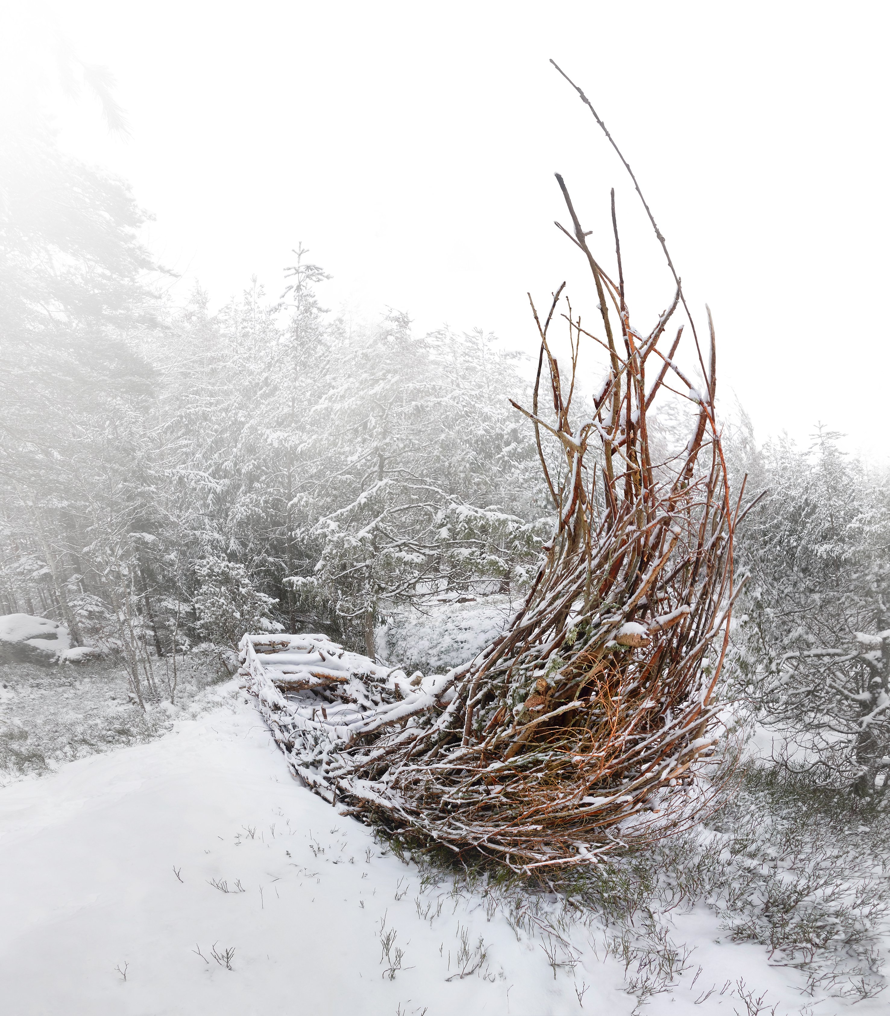 „Wooden Ark“, 2018 Holz, Naturstoffe, Stein 300 cm x 250 cm x 800 cm Bildrechte: Seregel