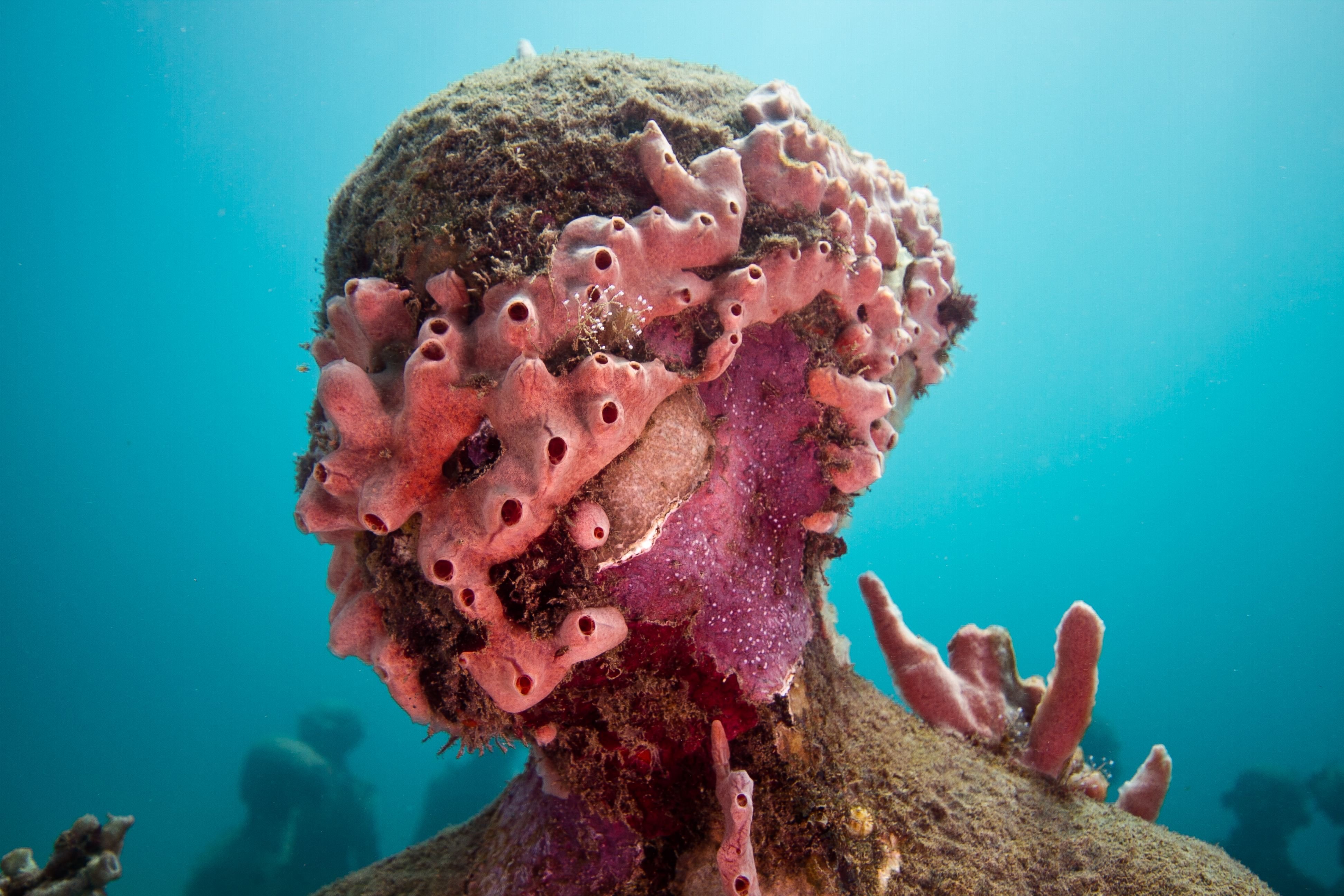 Vicissitudes, 2006, Moilinere Bay, Grenada